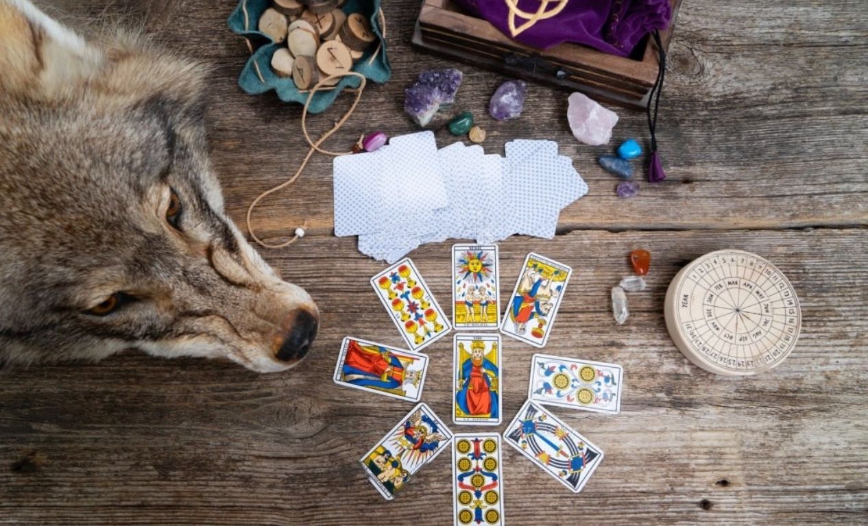 How to Make a Wild Animal in Little Alchemy? HTJ