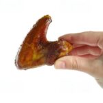 Tucking Turkey Wings