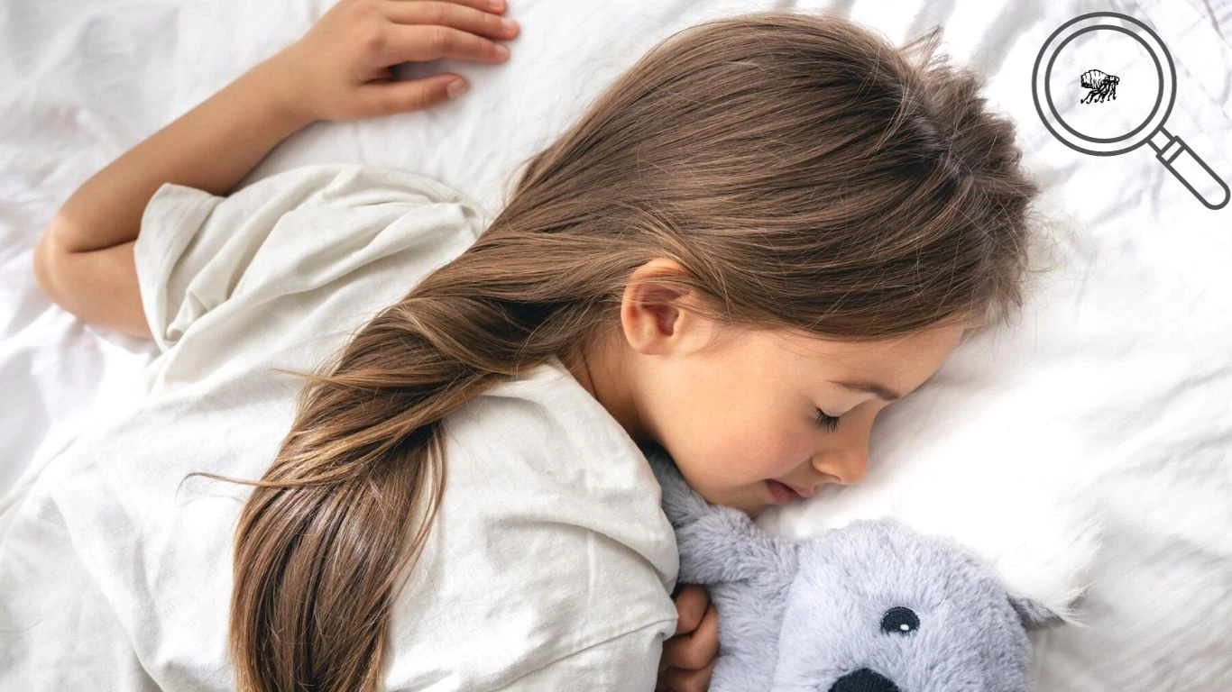 "How Long Do Lice Live on a Mattress? Preventing Infestations"