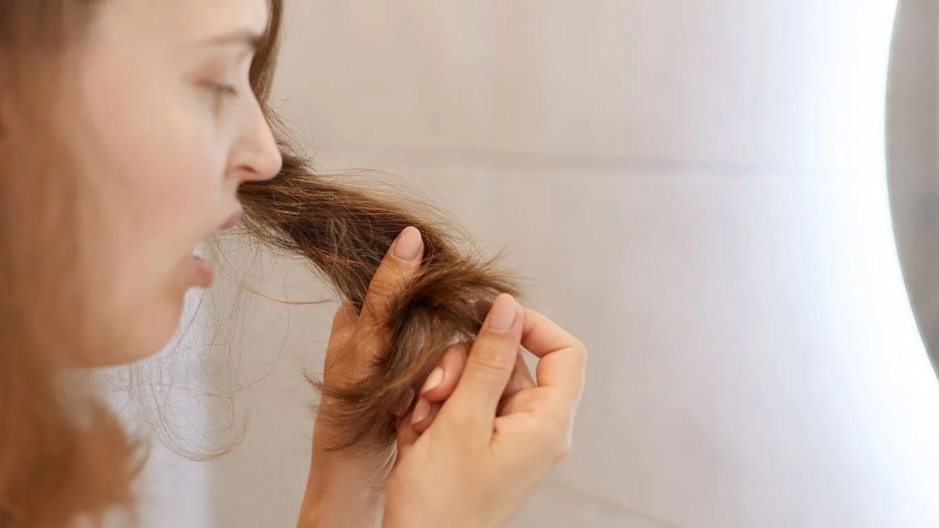 The Origin of Lice