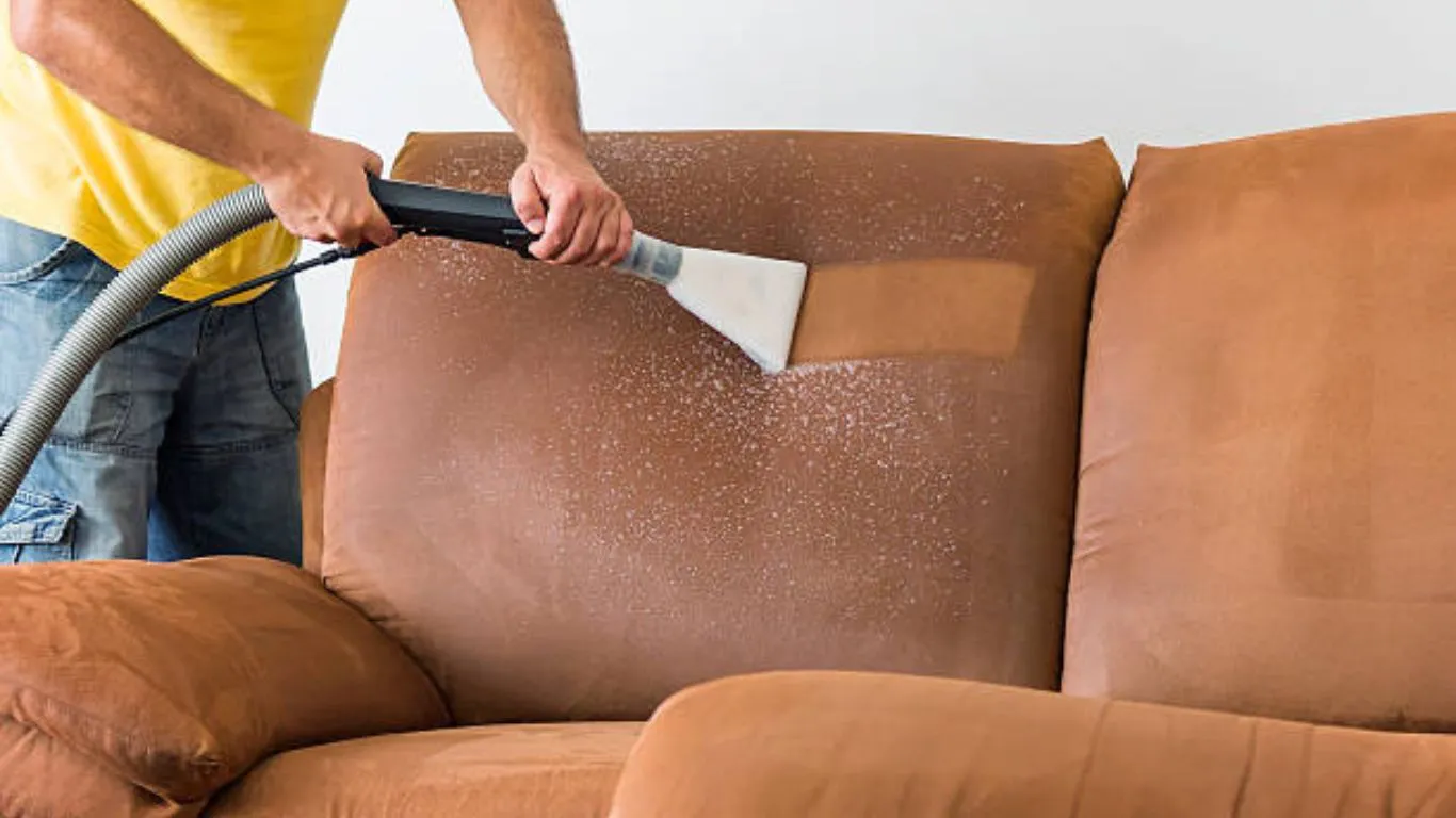how to clean polyester couch