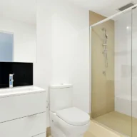 how to use shower steamers