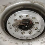 How to Get Rid of Drain Flies